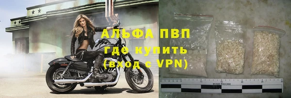 шишки Гусев