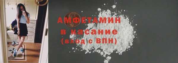 шишки Гусев