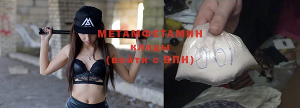 ГАЛЛЮЦИНОГЕННЫЕ ГРИБЫ Горняк