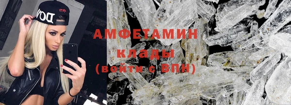 шишки Гусев