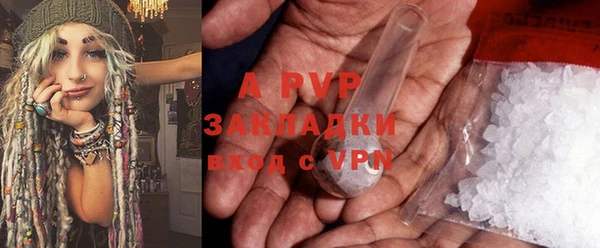 ГАЛЛЮЦИНОГЕННЫЕ ГРИБЫ Горняк