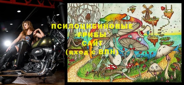 крисы Гусиноозёрск