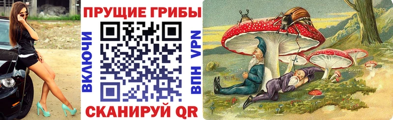 Галлюциногенные грибы GOLDEN TEACHER  Бугульма 